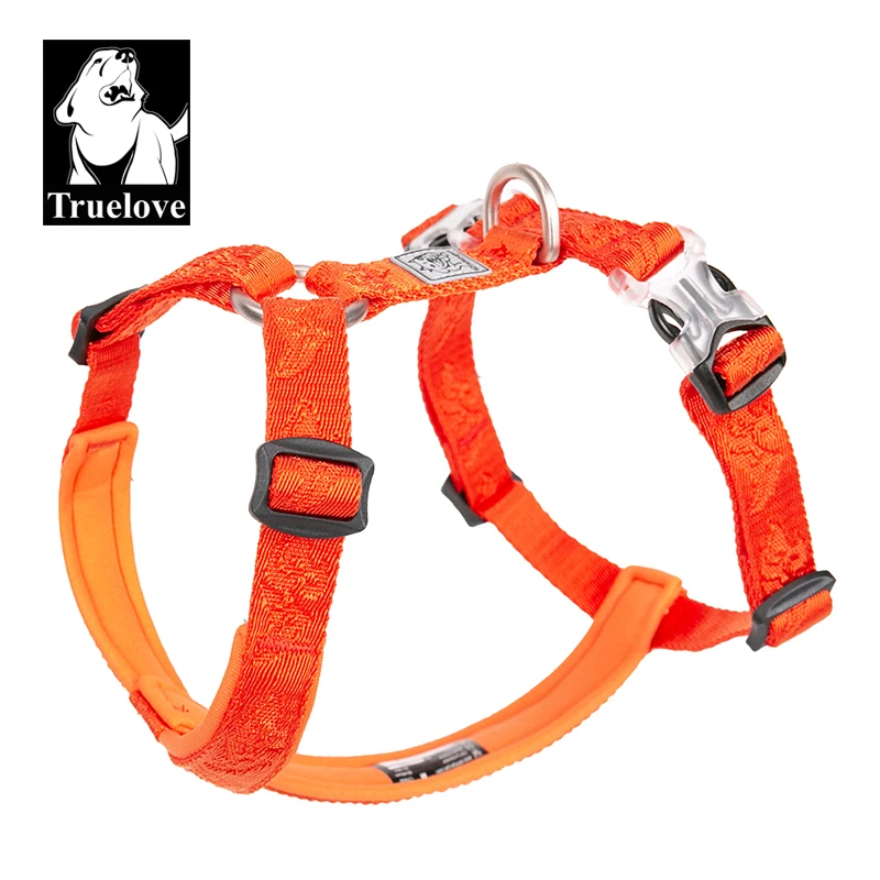 TRUELOVE Pet Hairy Usag Premiu - Runners Gear recensione e prezzo
