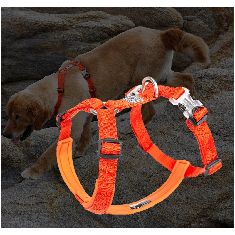 TRUELOVE Pet Hairy Usag Premiu - Runners Gear recensione e prezzo