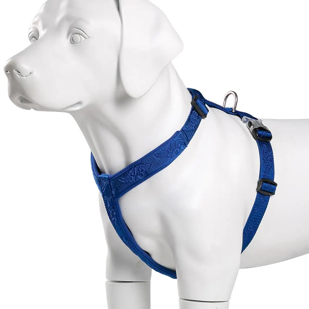 TRUELOVE Pet Hairy Usag Premiu - Runners Gear recensione e prezzo